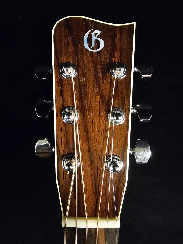 Gallagher SG-50 Tennessee Adirondack/Sinker Mahogany - Image 3