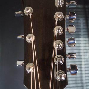 Furch Green Series D-SR - A Unique 9 String Dreadnaught w/ Sitka Spruce / Indian Rosewood