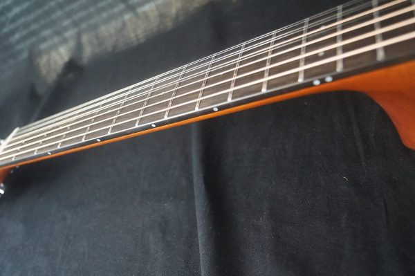 Furch Green Series D-SR - A Unique 9 String Dreadnaught w/ Sitka Spruce / Indian Rosewood - Image 14