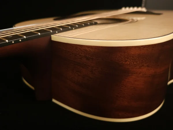 Gallagher SG-50 Tennessee Adirondack/Sinker Mahogany - Image 8