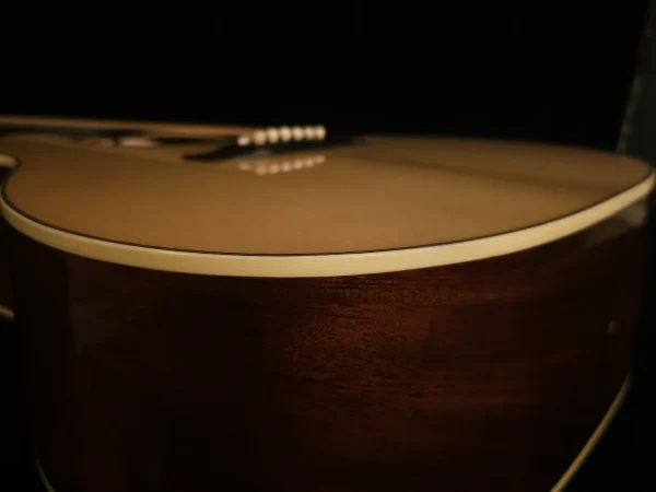 Gallagher SG-50 Tennessee Adirondack/Sinker Mahogany - Image 7