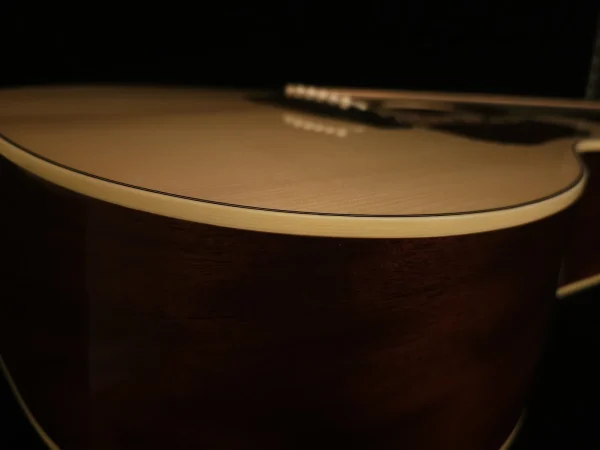 Gallagher SG-50 Tennessee Adirondack/Sinker Mahogany - Image 9